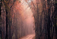 杜锋：球队在防守端表现不错，将全力以赴迎接季后赛.