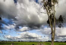 南宫28：0-1，2连败！前国足主帅李霄鹏仅踢3轮，就被球迷喊下课.